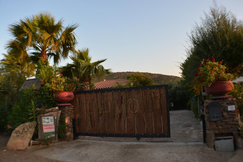Residence L'Ulivo Budoni Exteriér fotografie